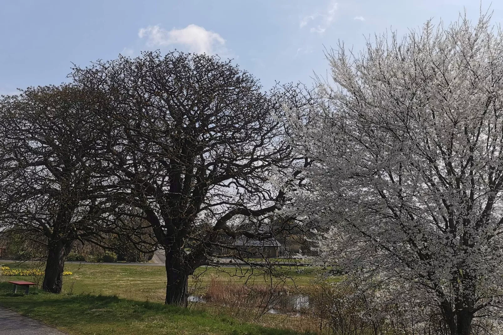 5 Personen Ferienhaus in Holeby