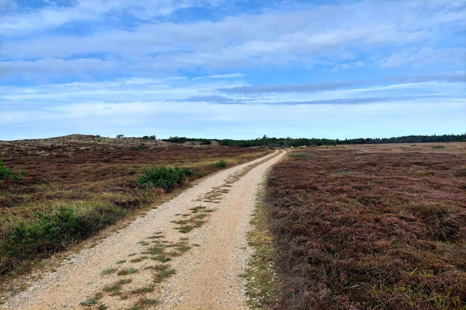 Maison de vacances pour 4 a Nørre Nebel-Non tagué