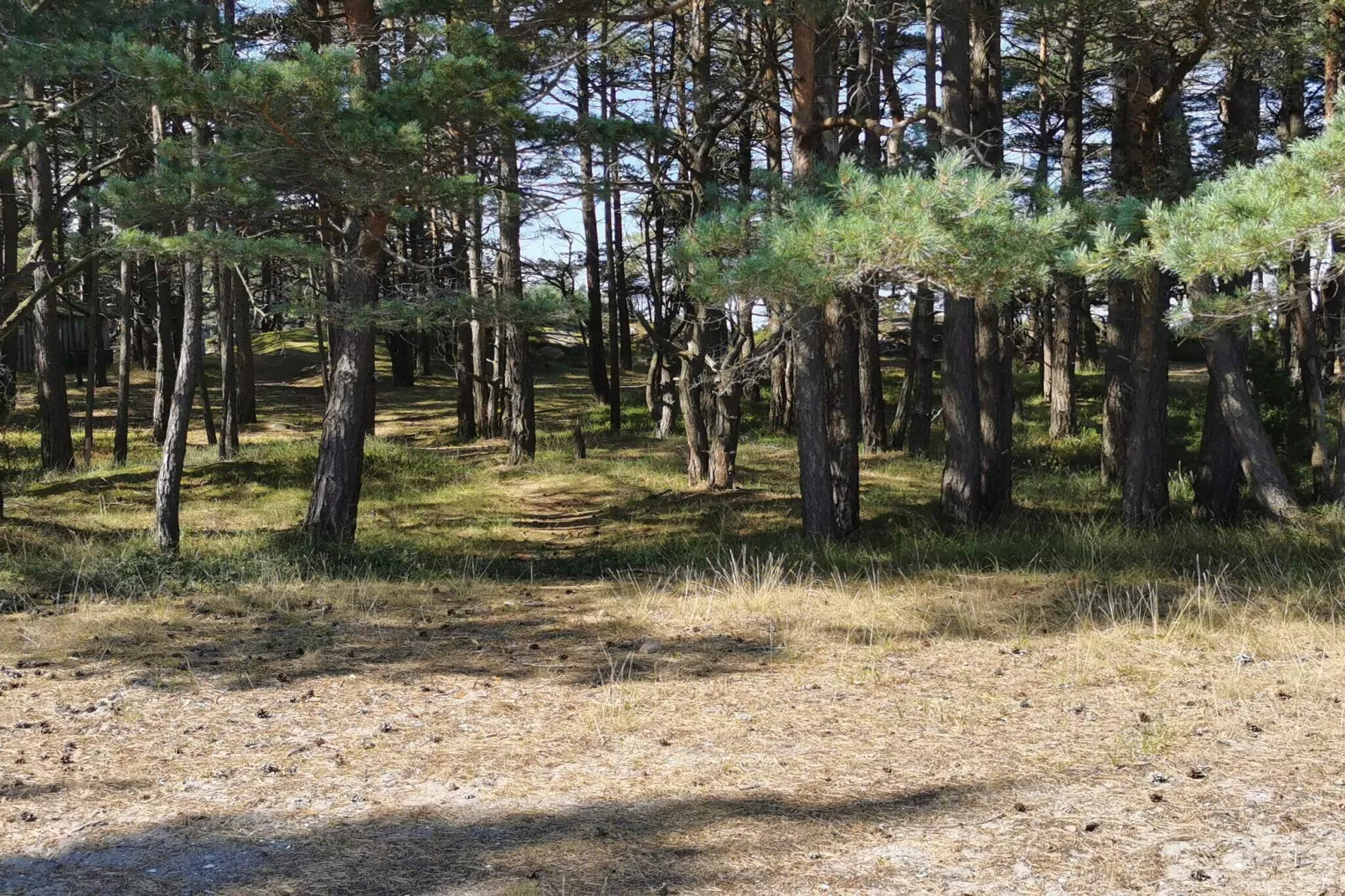 Seaside Charm in Flaton Retreat-By Traum-Untagged