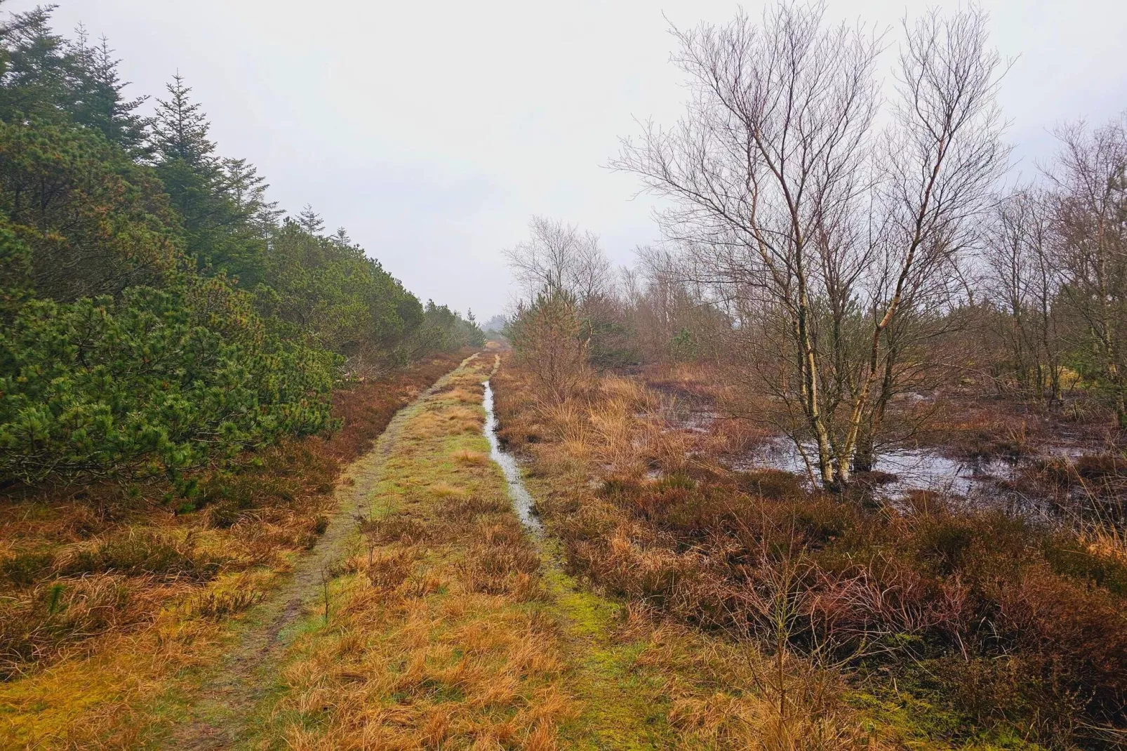 6 person holiday home in Nørre Nebel-Untagged