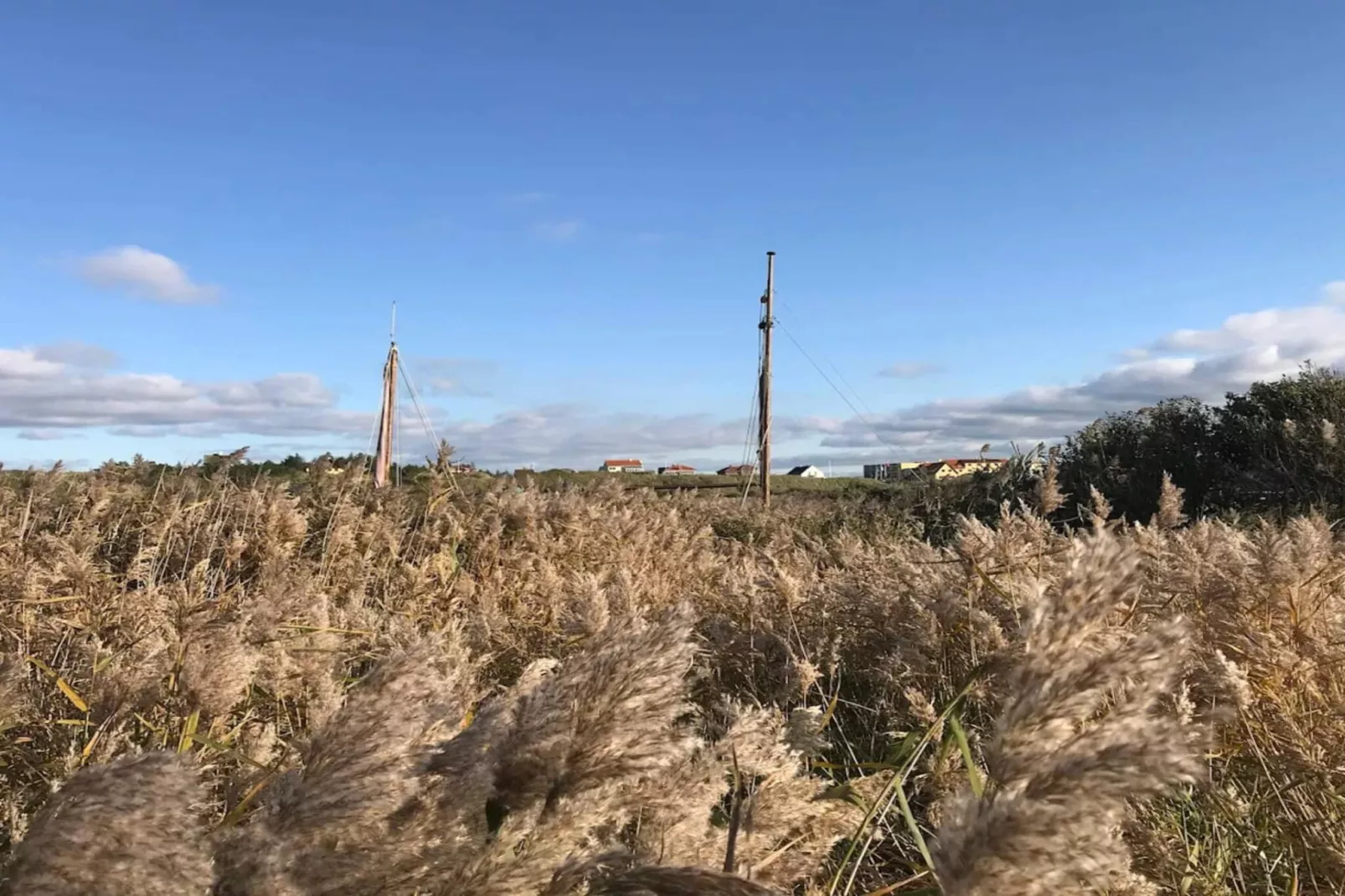 Kustliche Ruhe in Nymindegab-By Traum