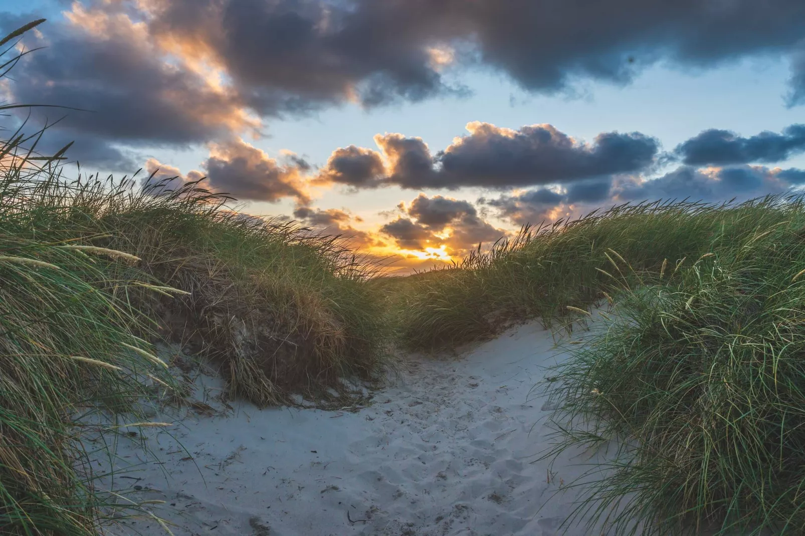 Bright Dune View Cottage-By Traum-Untagged