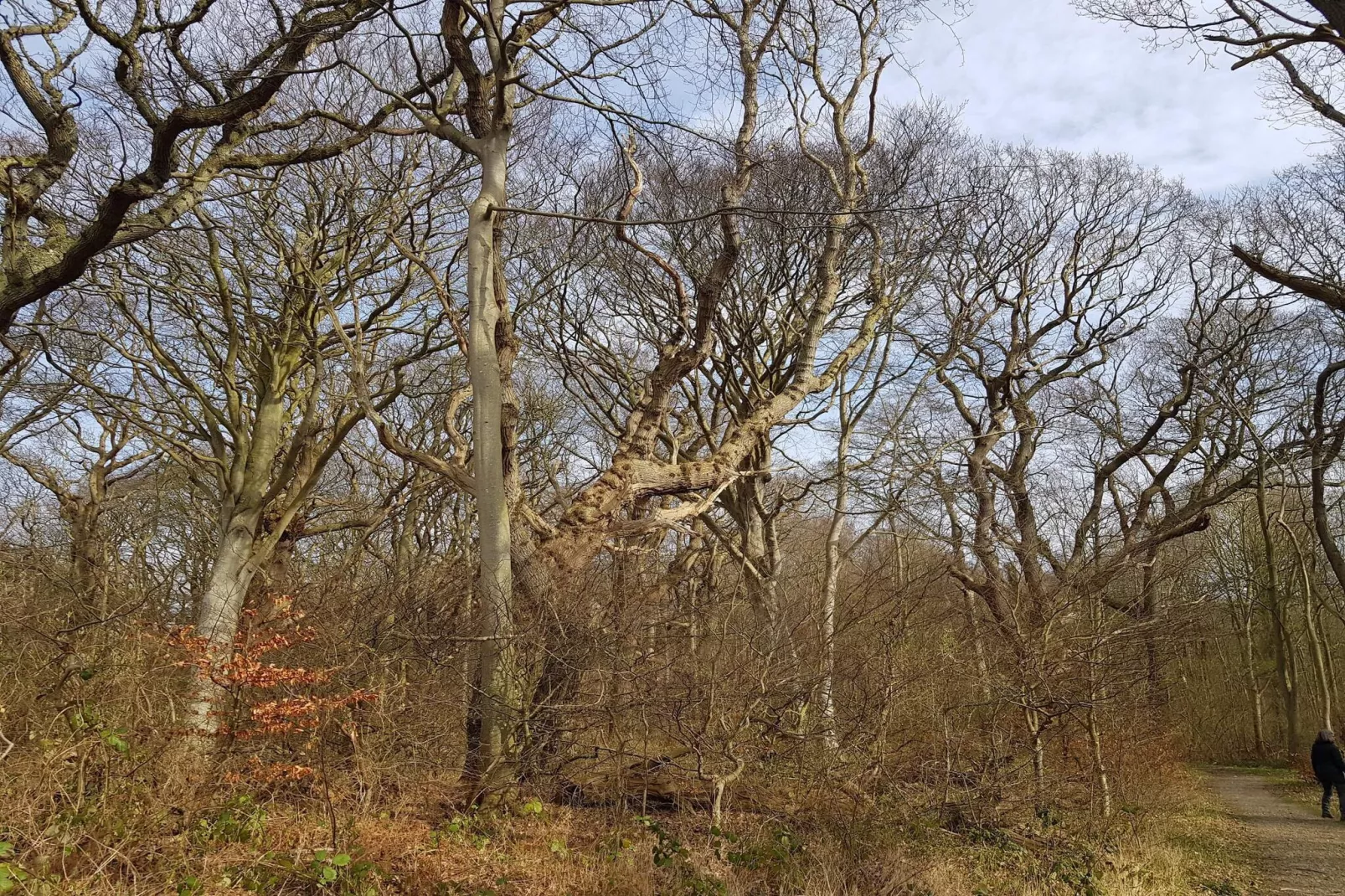 Seaside Haven in Stoense-By Traum-Untagged