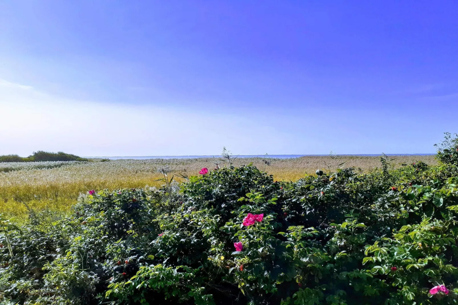 4 person holiday home in Skjern