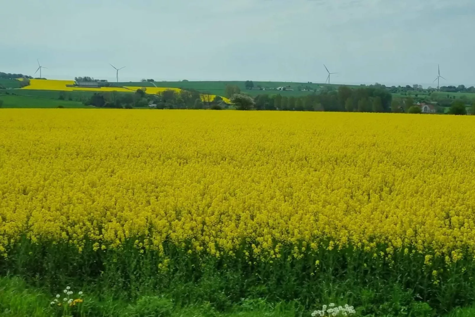 Historic Charm in Marstal-By Traum