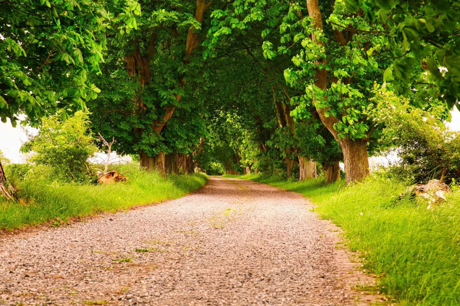 Maison de vacances pour 6 a Rudkøbing-Non tagué