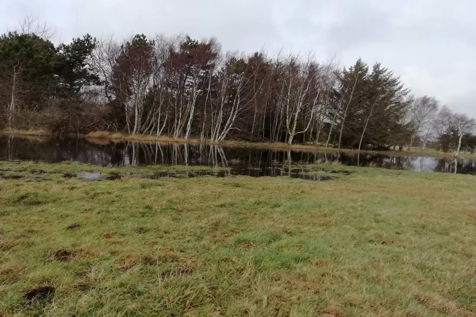 6 person holiday home in Rødby-Untagged