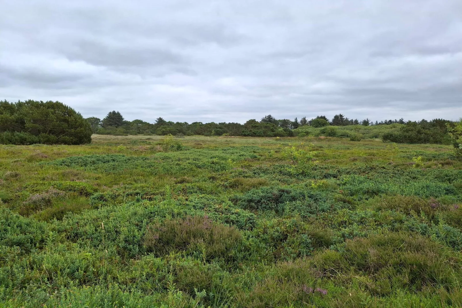 6 Personen Ferienhaus in Tarm-Nicht zugeordnet