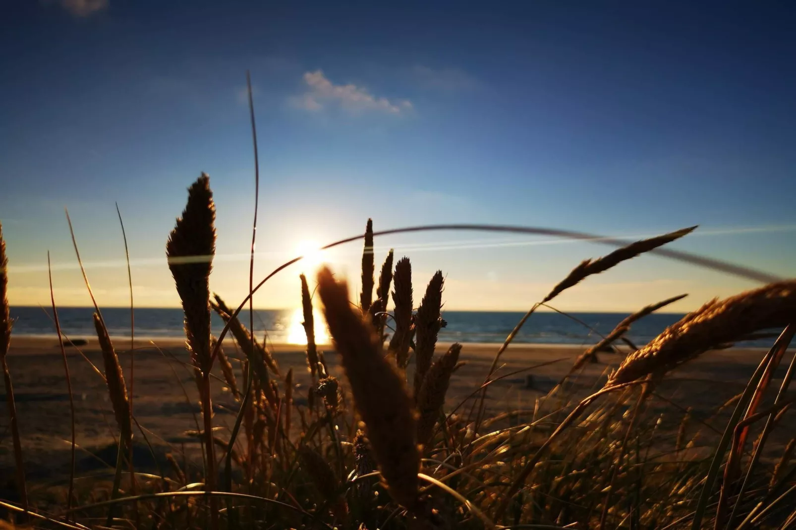 Luxurioses Dunenrefugium-By Traum