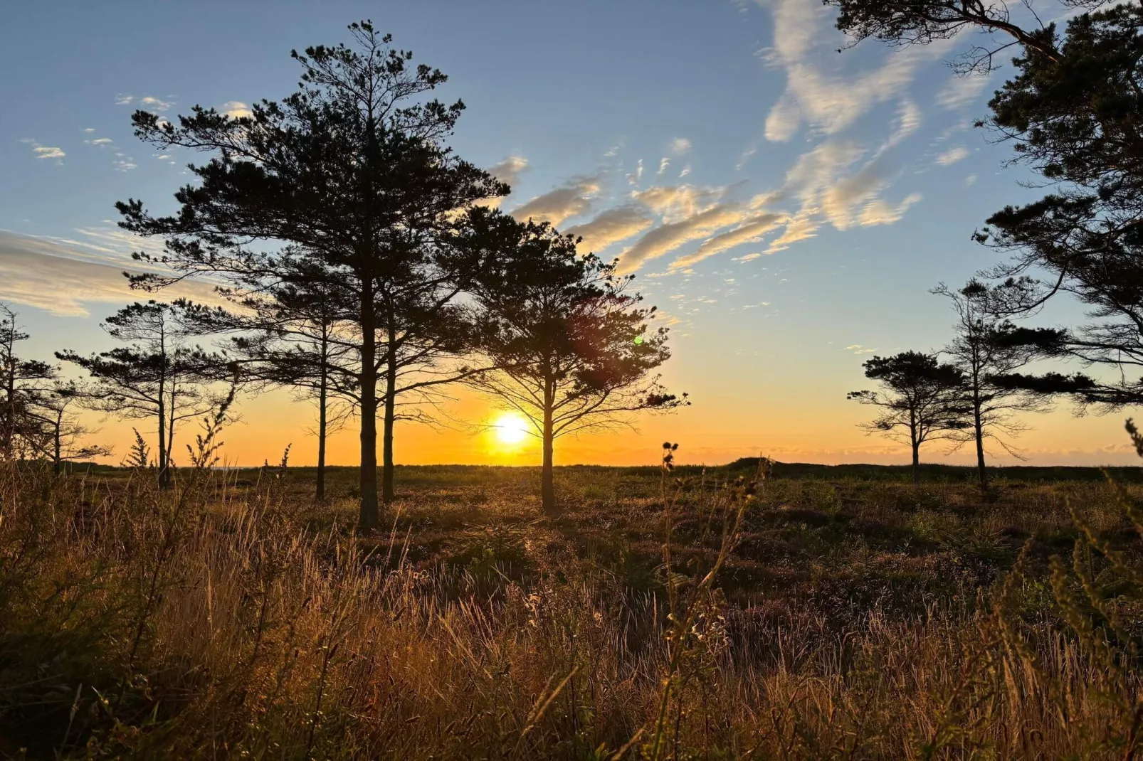 Bright Cottage by the Lagoon-By Traum-Untagged