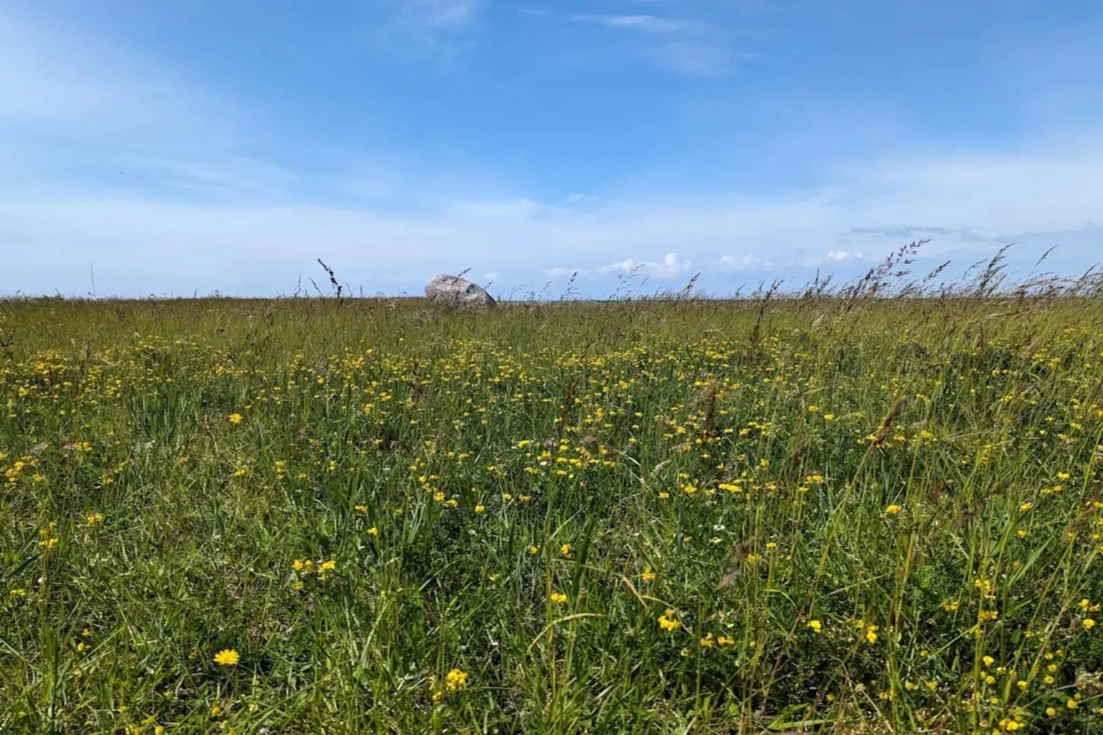 Retro Strand Ruckzug in Gedesby