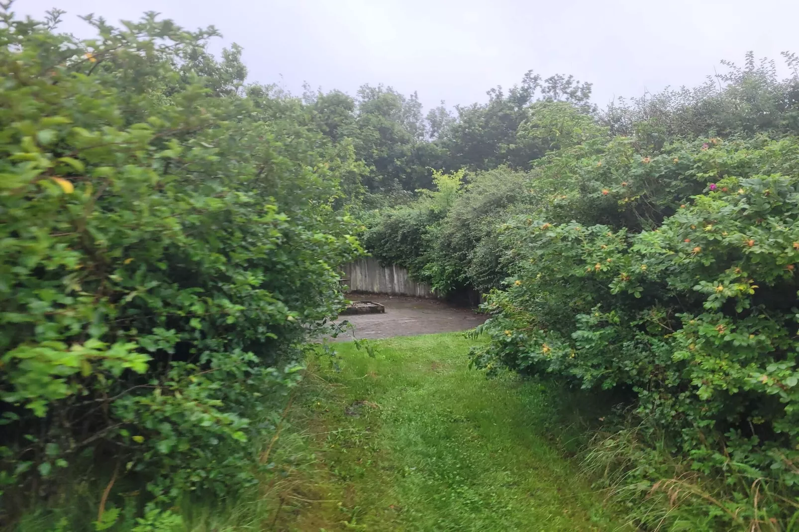 Maison de vacances pour 6 a Tarm