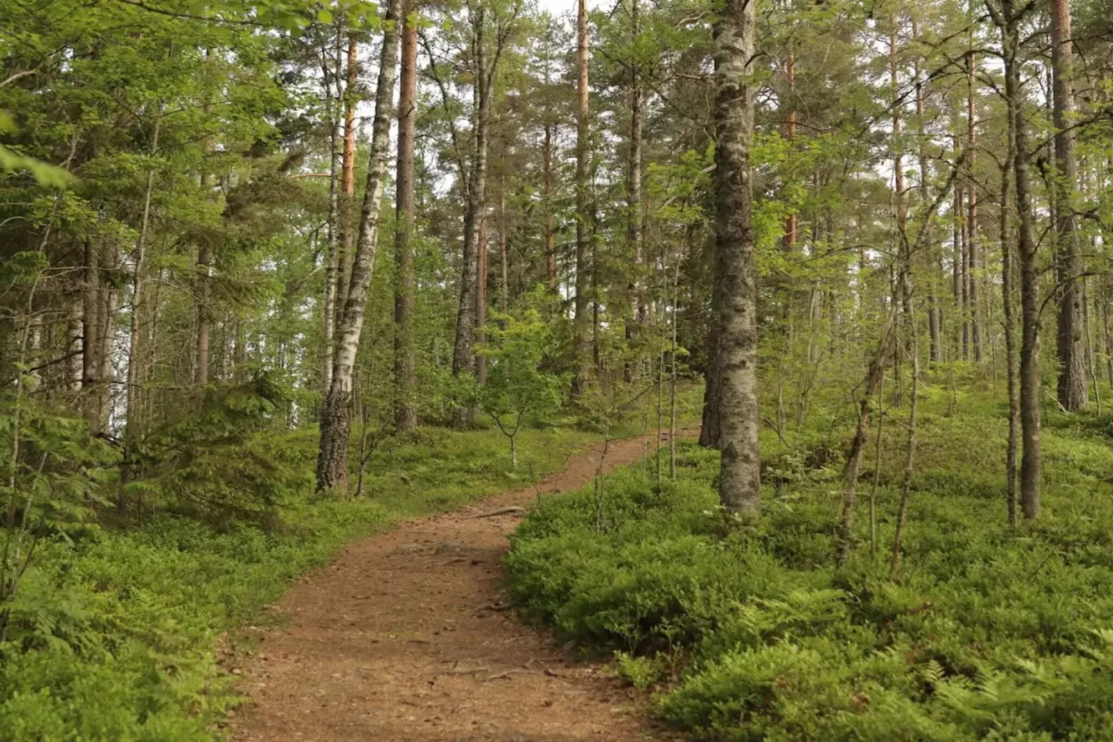 5 person holiday home in TENHULT/JÖNKÖPING