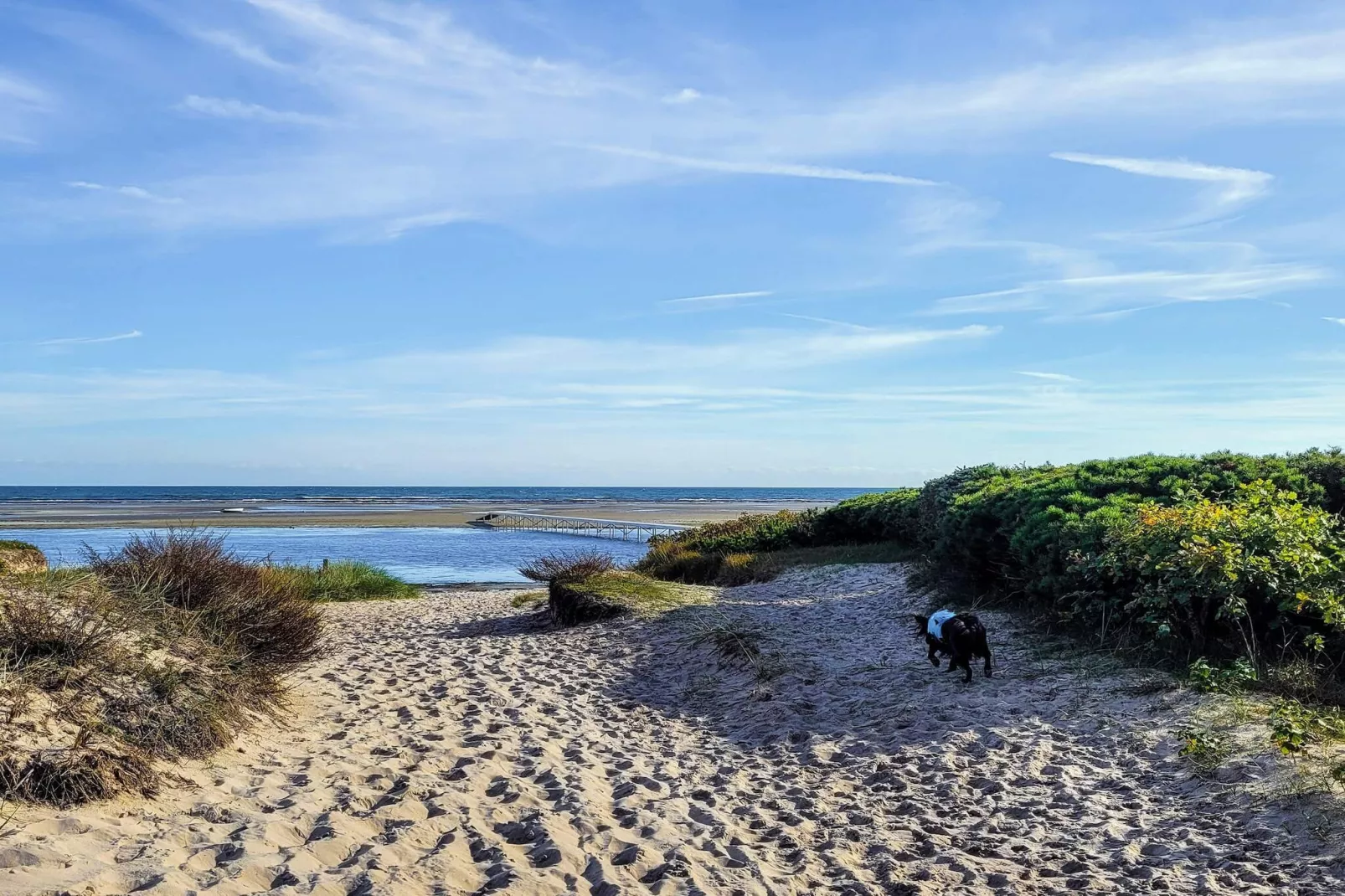 Maison de vacances pour 16 a Væggerløse