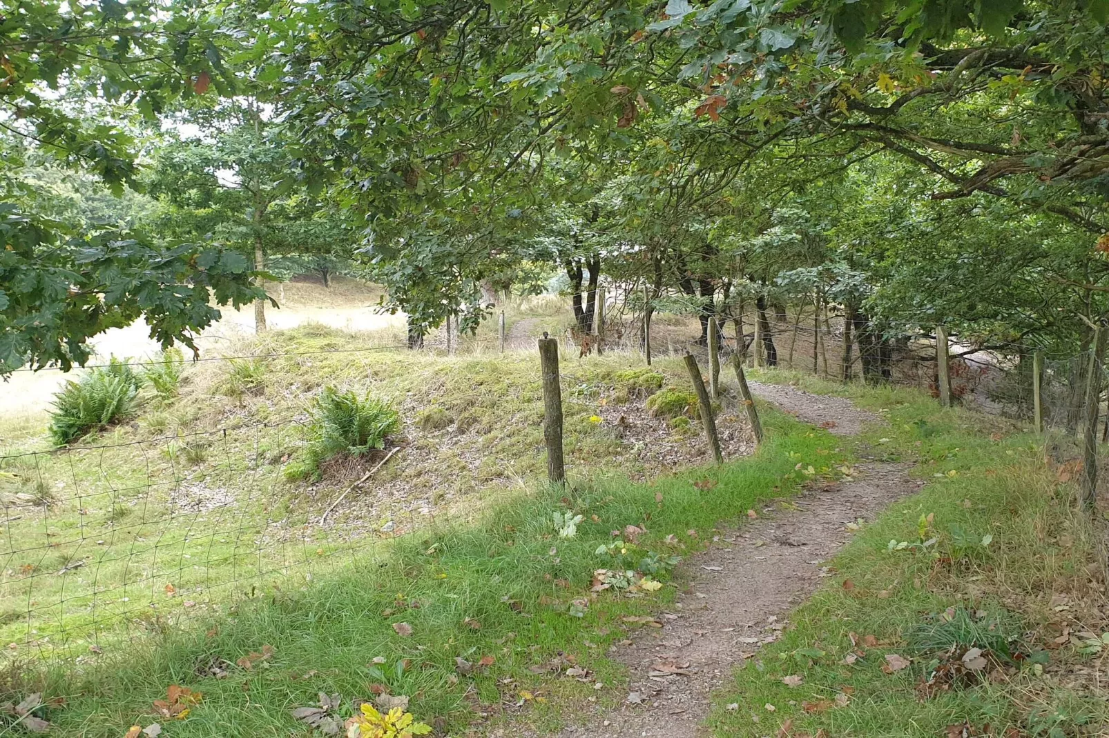 Helle Cottage-Oase in Silkeborg-By Traum-Nicht zugeordnet