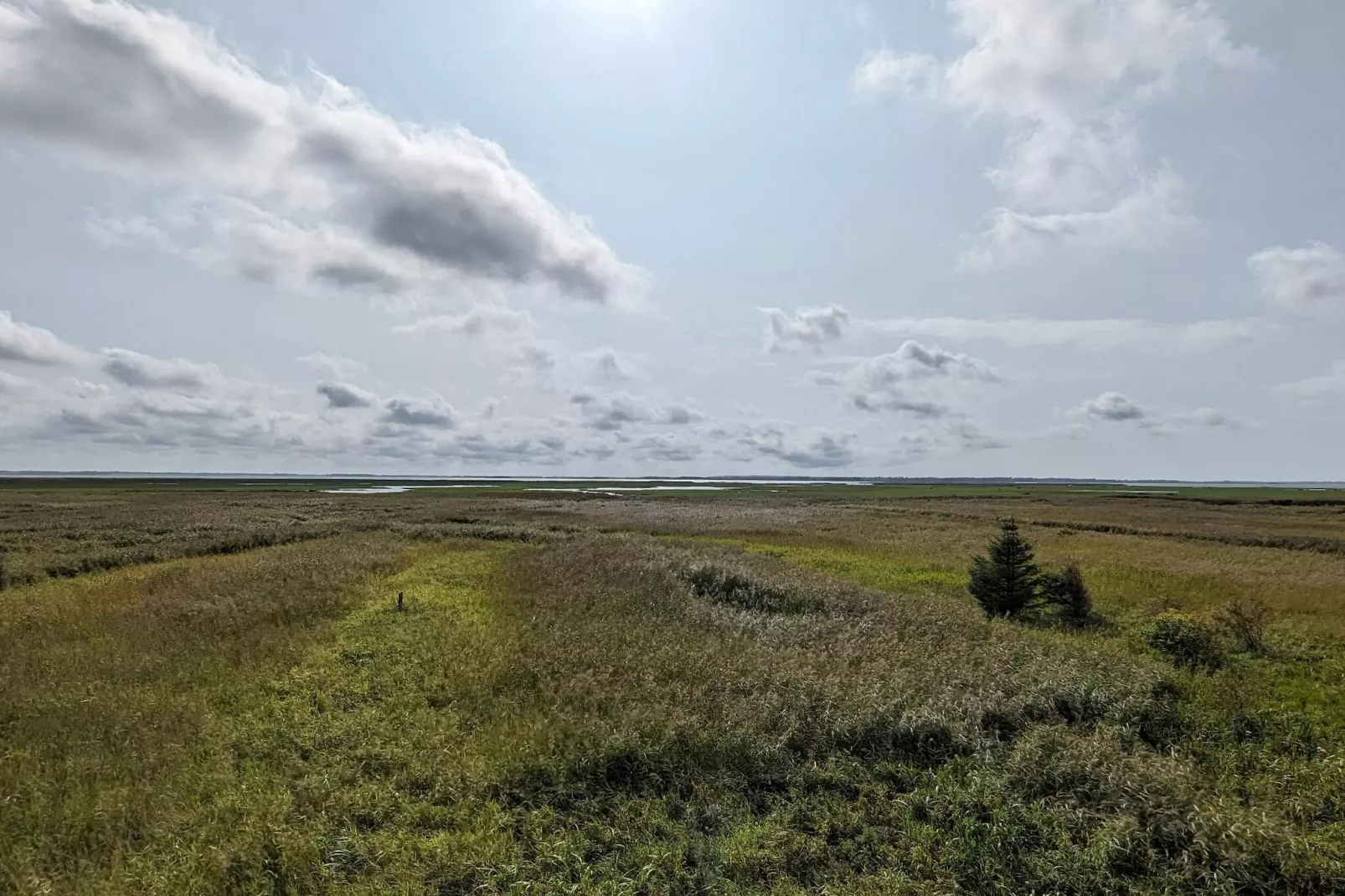 8 Personen Ferienhaus in Ulfborg