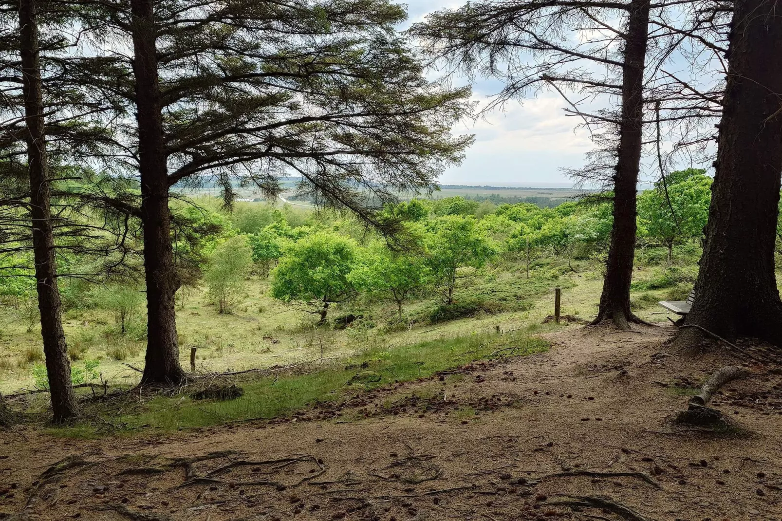 Refuge plage tranquille a Tranum-By Traum-Non tagué