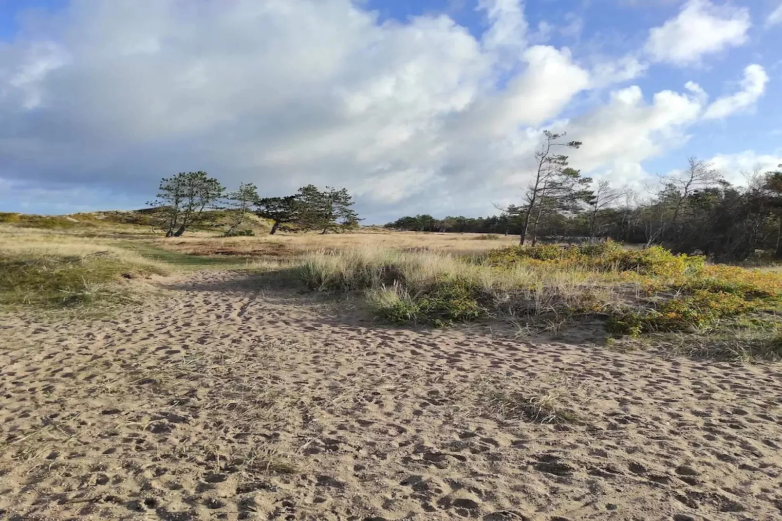 Maison de vacances pour 8 a Vejby-Non tagué