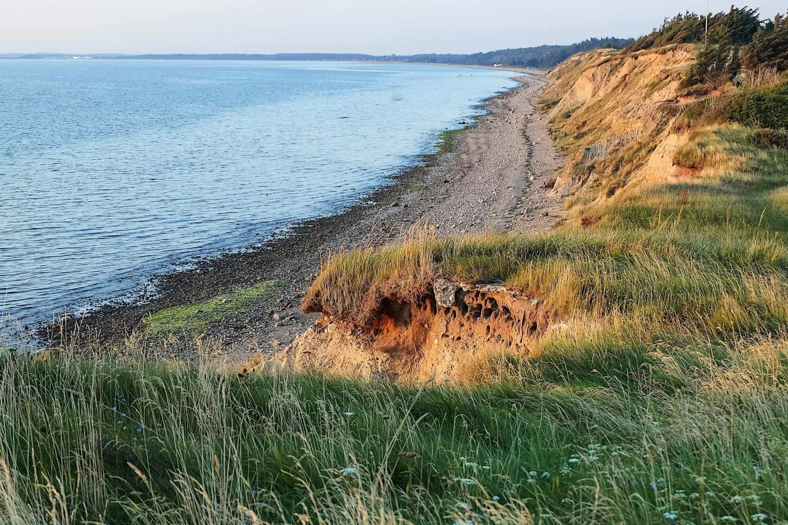 8 person holiday home in Farsø