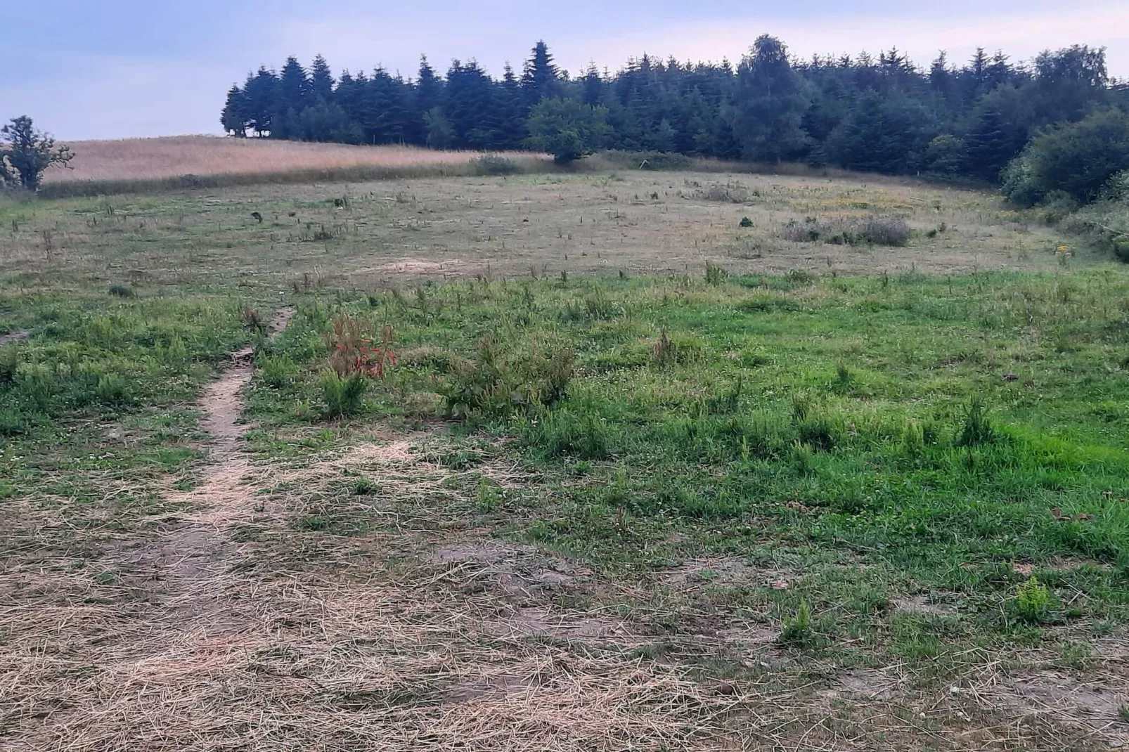 Maison de vacances pour 6 a Ebeltoft