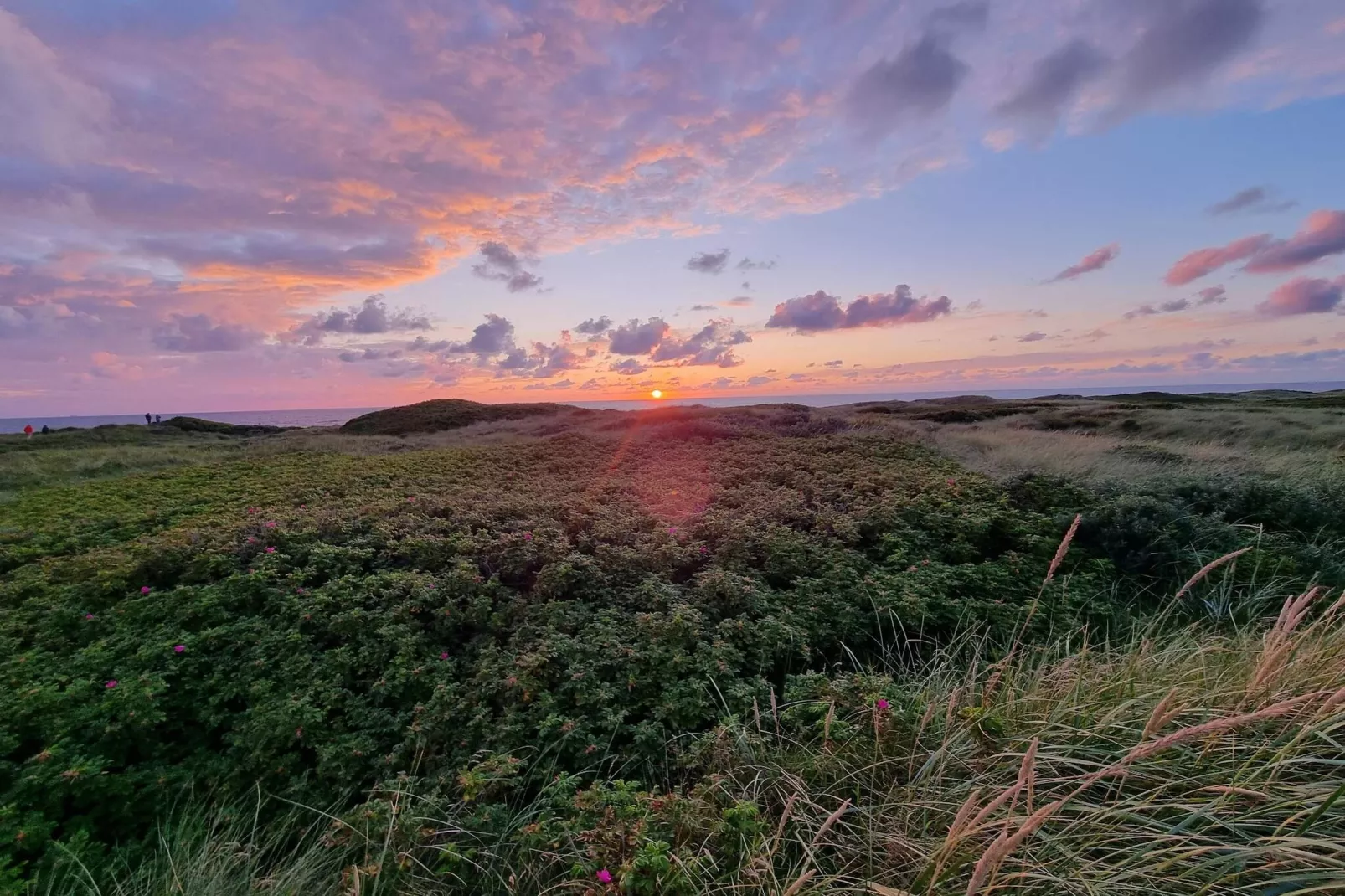 Bright Coastal Retreat in Vorupor-By Traum-Untagged