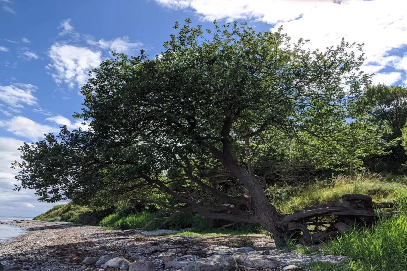 Maison de vacances pour 11 a Knebel