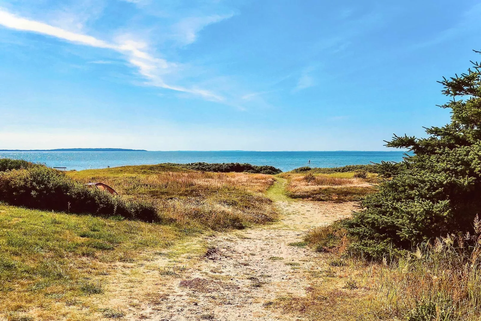 Secluded Forest Haven-By Traum-Outdoor