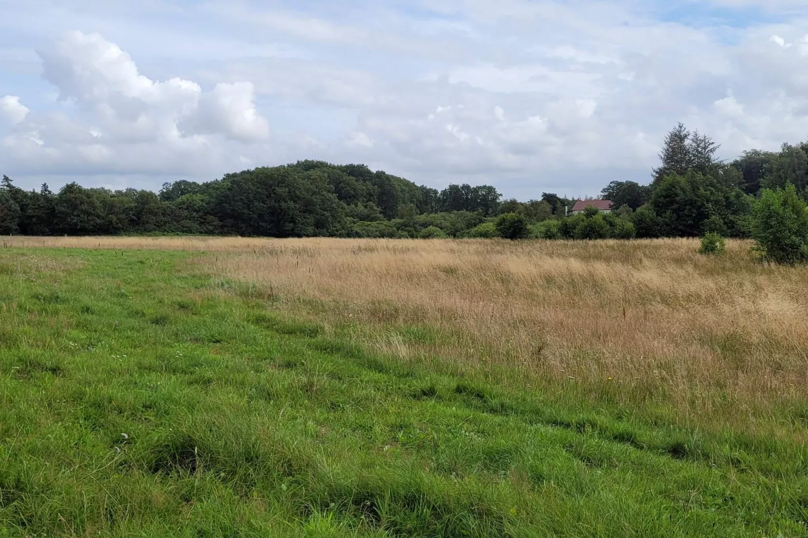 Maison de vacances pour 5 a Grindsted