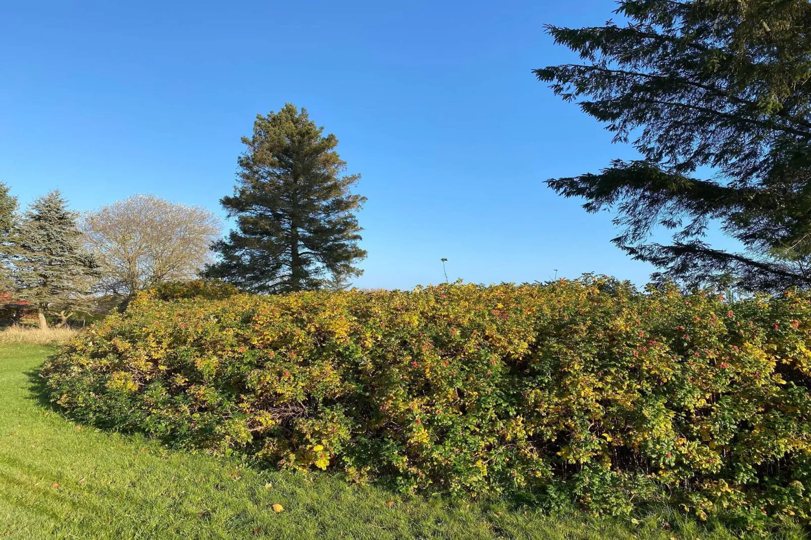 6 Personen Ferienhaus in Hadsund-Nicht zugeordnet