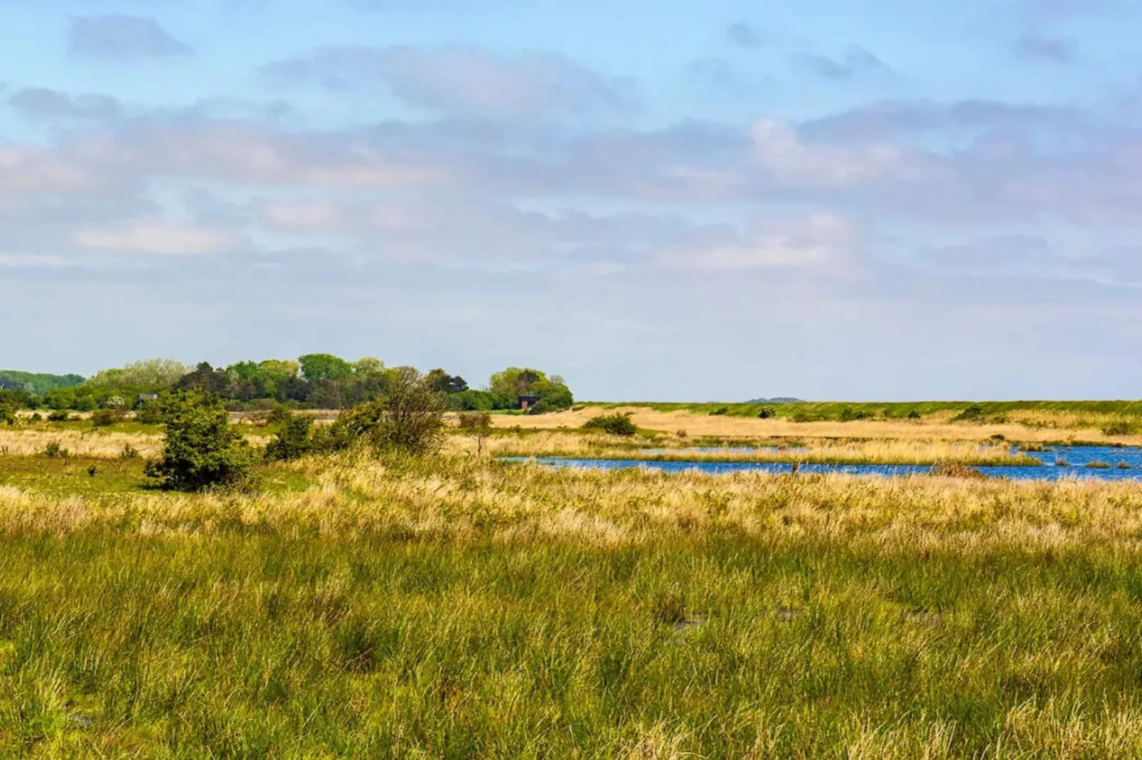 Maison de vacances pour 6 a Dannemare-Non tagué