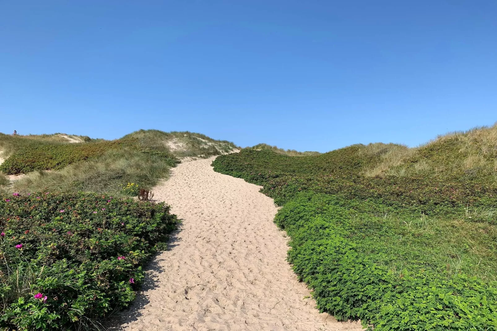 6 person holiday home in Hvide Sande