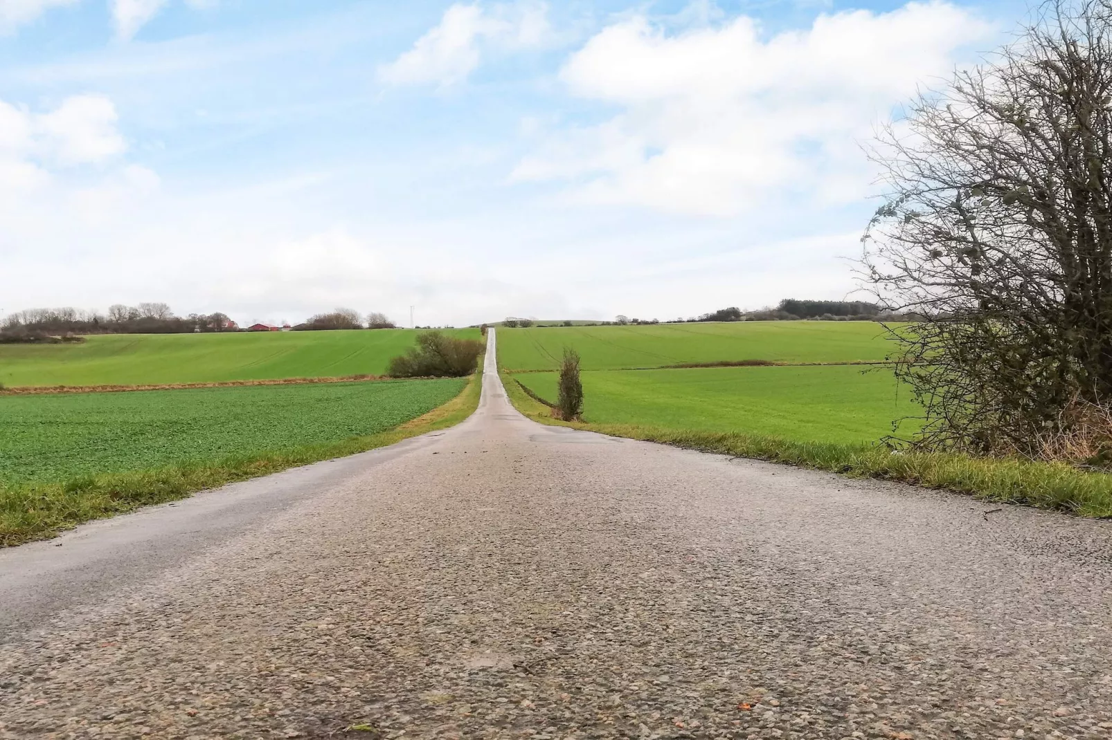 4 person holiday home in Tranekær-Outdoor