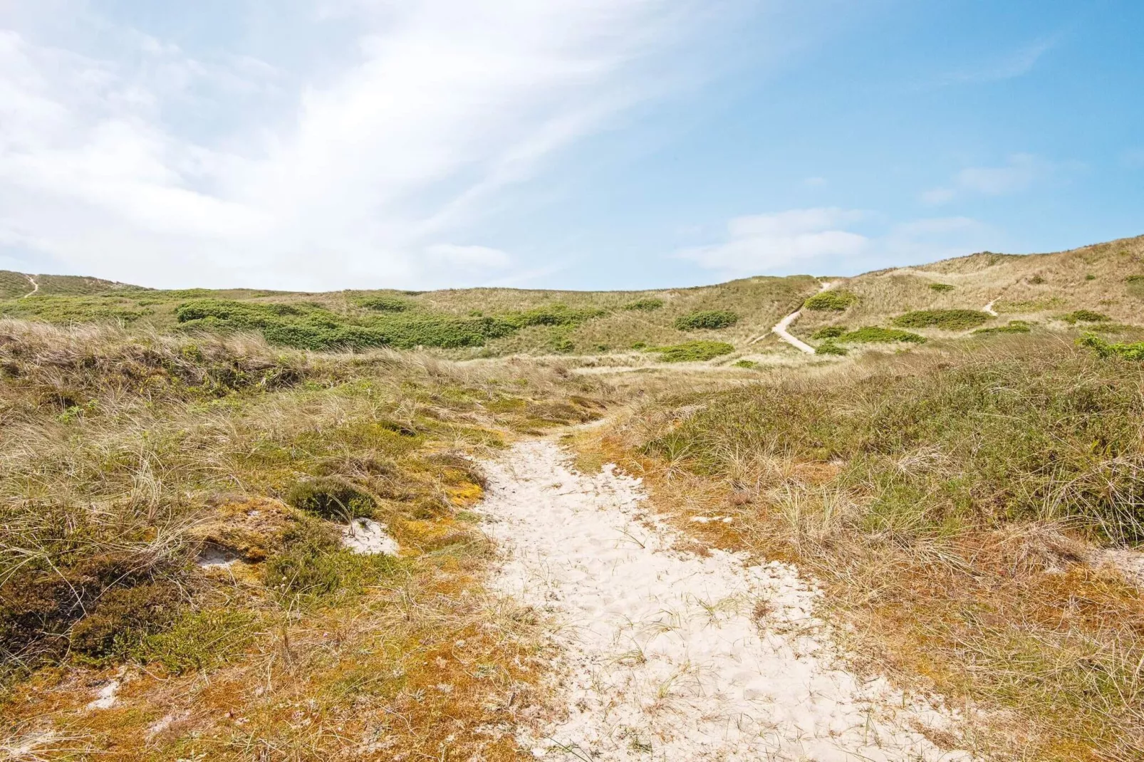 Maison de vacances pour 5 a Hvide Sande-Vue