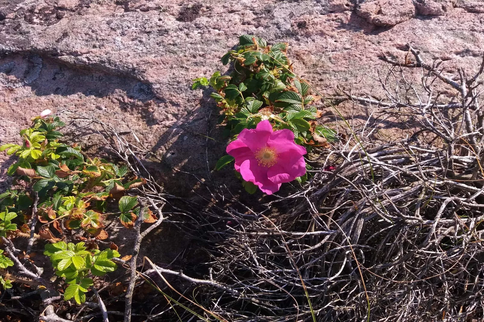 Maison de vacances pour 4 a Heberg-Non tagué
