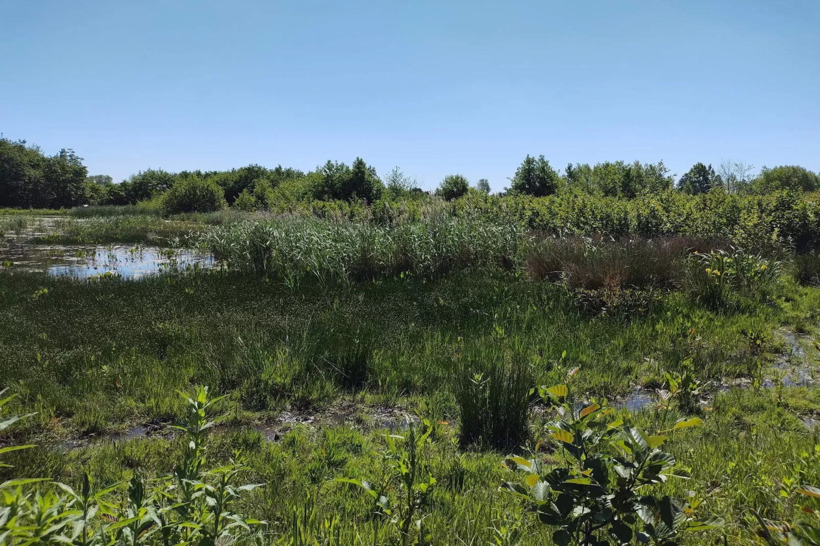 8 person holiday home in Præstø