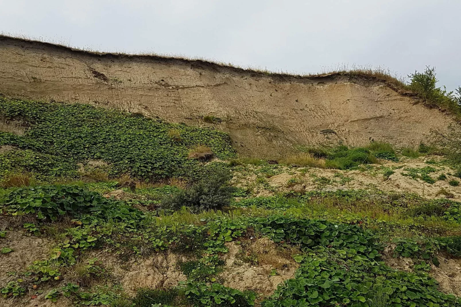 5 person holiday home in Roslev-By Traum