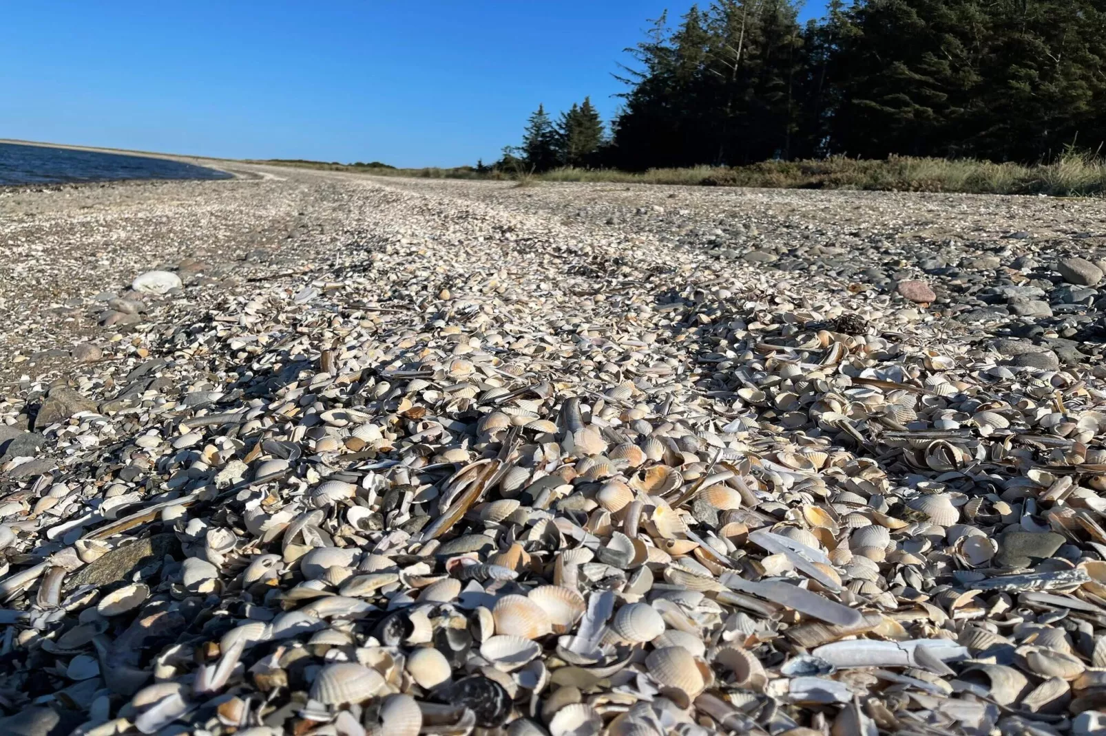 Secluded Haven on Fur - By Traum Ferienwohnungen