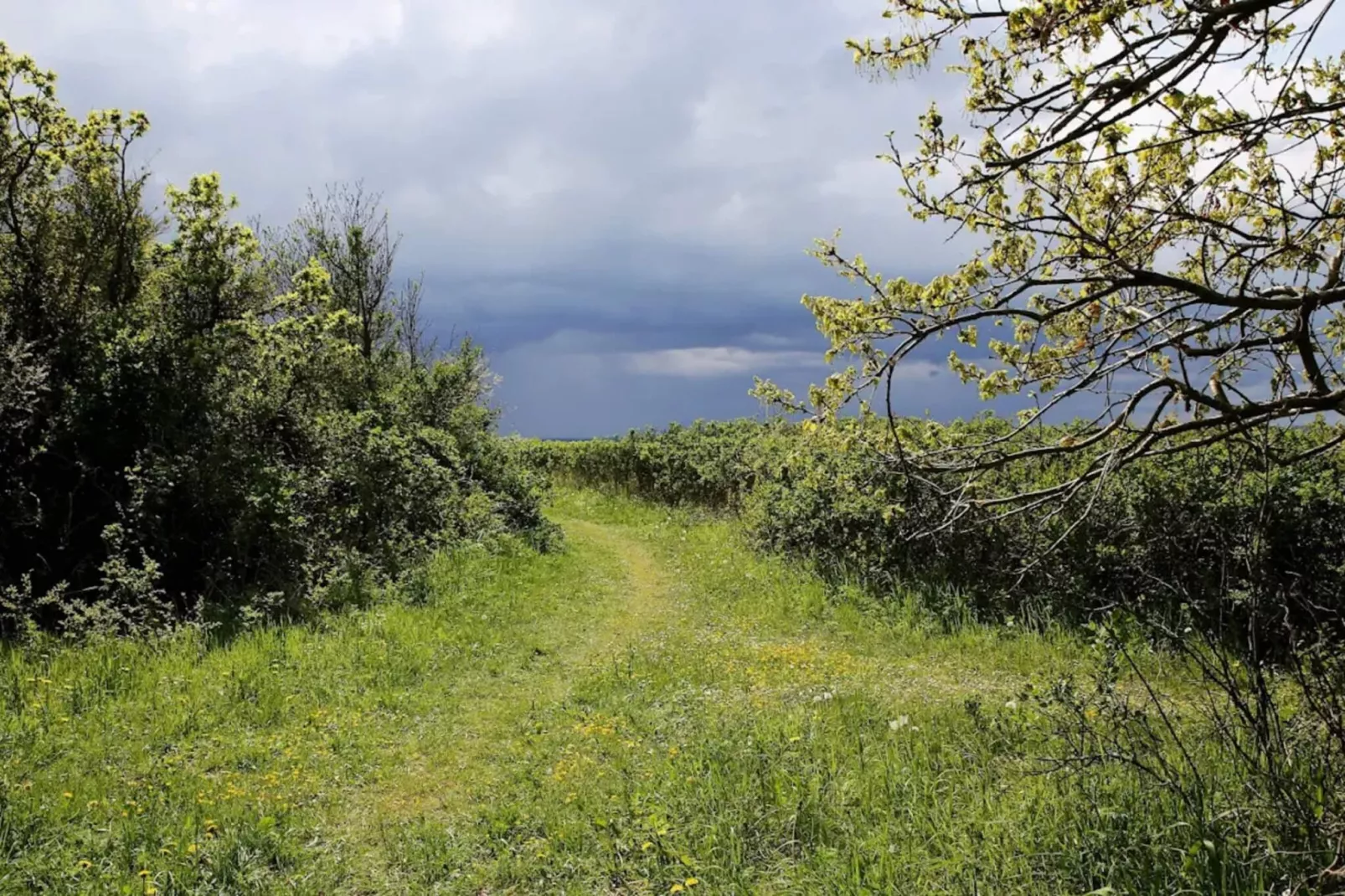 5 person holiday home in Tranekær-By Traum