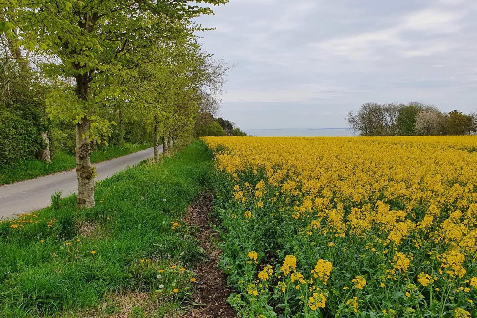 4 Personen Ferienhaus in Nykøbing M-By Traum-Nicht zugeordnet