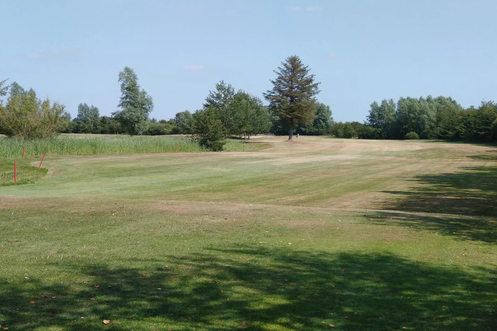 Maison rustique avec cheminée