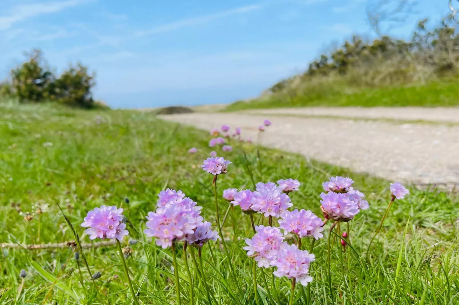 8 Personen Ferienhaus in Fjerritslev-By Traum