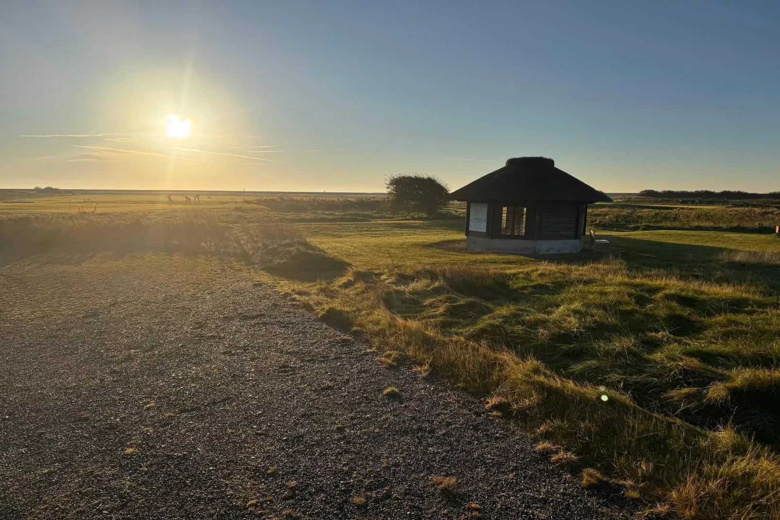 Pet-friendly Rømø Getaway Apartment
