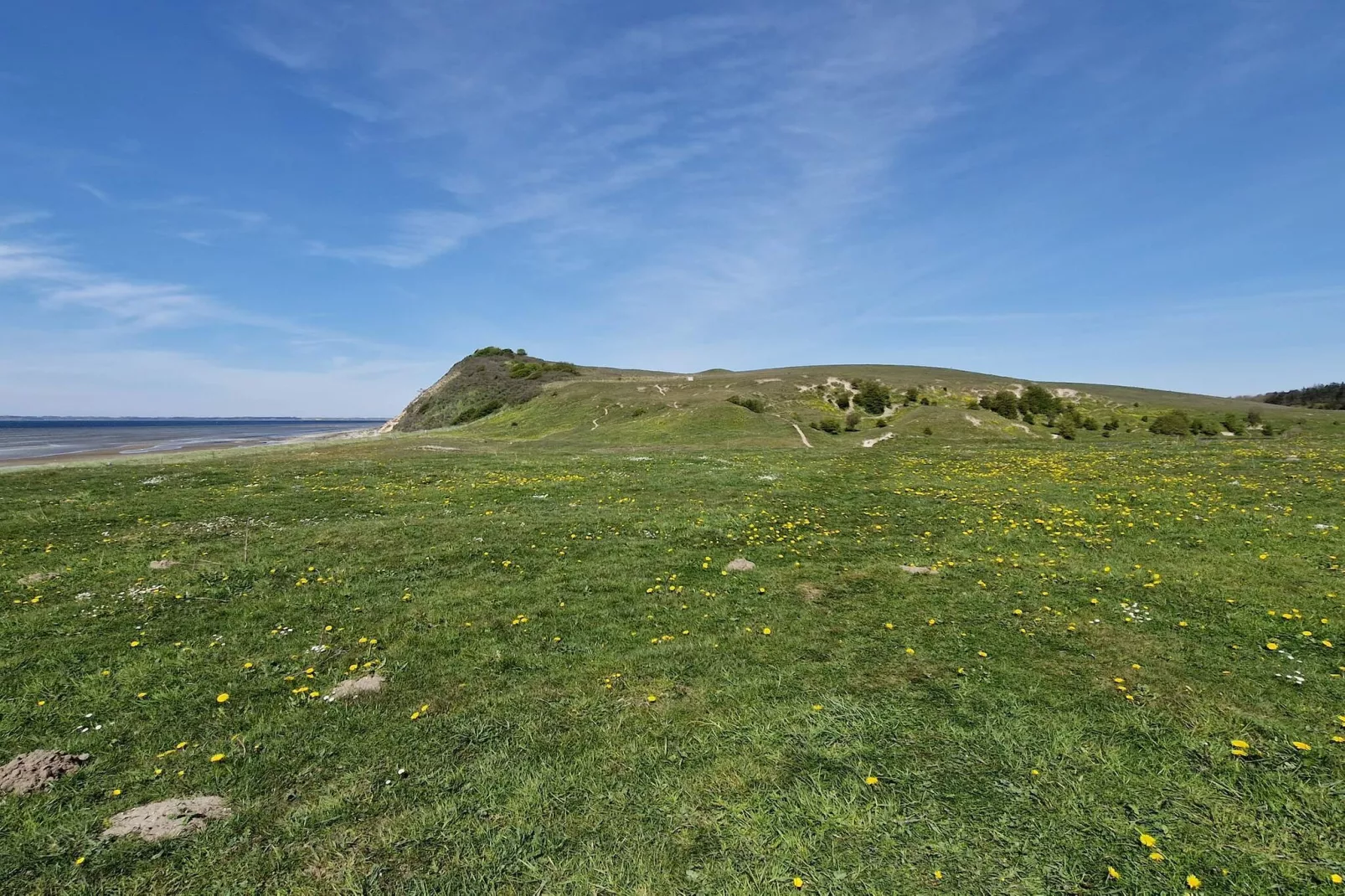 6 person holiday home in Højslev-By Traum-Untagged