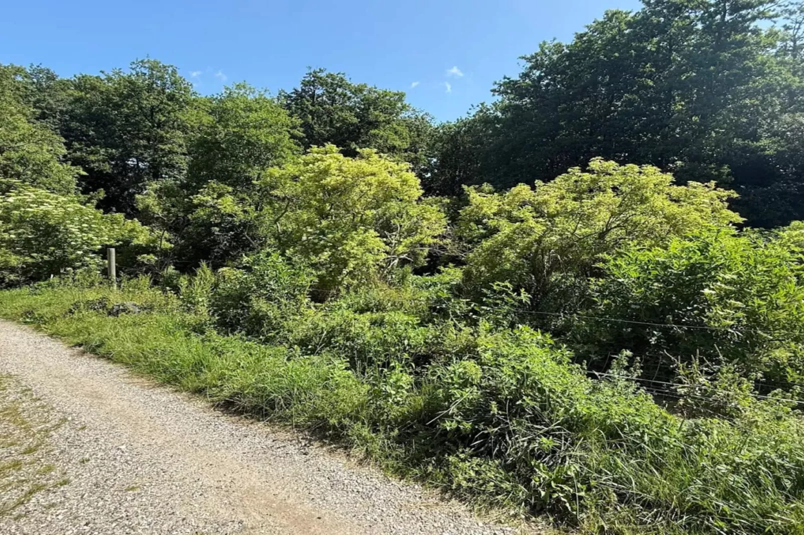 7 Personen Ferienhaus in Kirke Hyllinge-By Traum