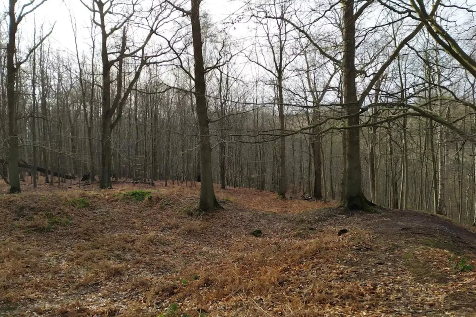 8 person holiday home in Juelsminde-By Traum