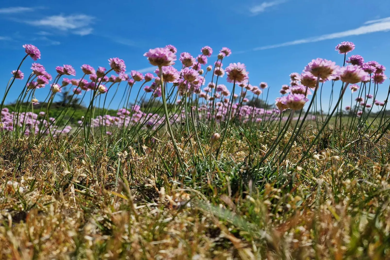 Tranquil Retreat in Klitmoller - By Traum Ferienwohnungen
