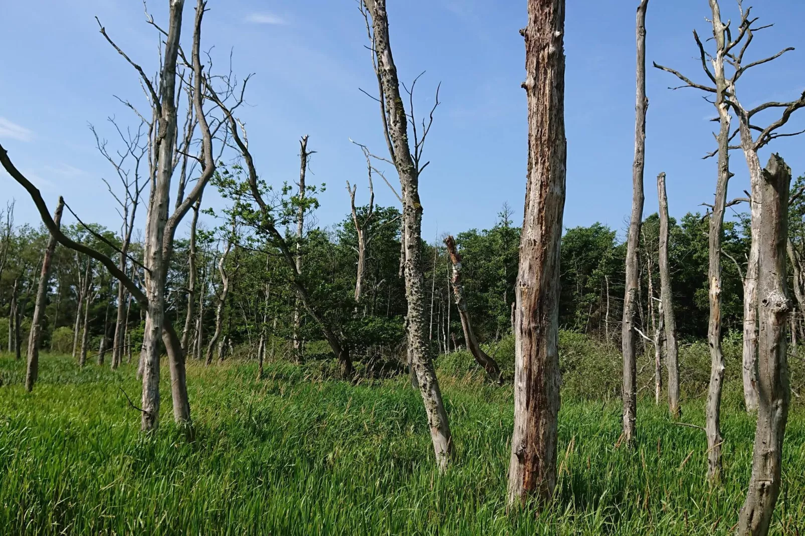 10 person holiday home in Fårvang-By Traum-Untagged