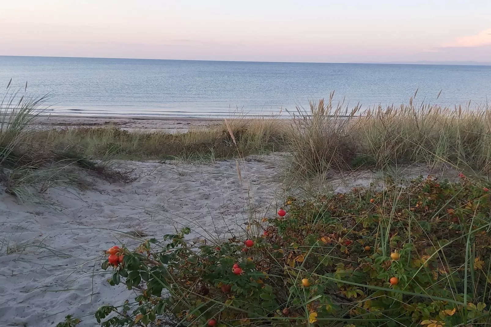 6 person holiday home in Dronningmølle-By Traum-Untagged