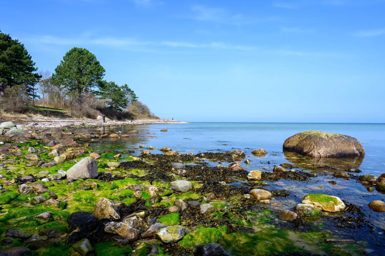 Maison de vacances pour 6 a Fårevejle-By Traum