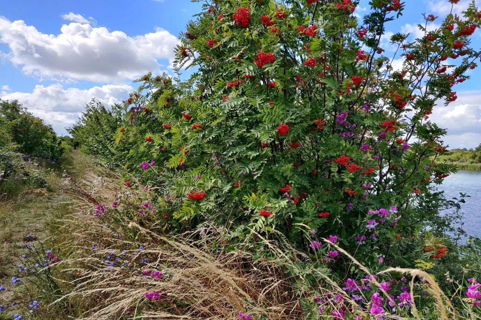 Maison de vacances pour 7 a Stege-By Traum-Non tagué